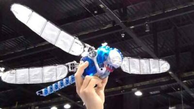 Giant dragonflies, 290 million years ago, had a similar wingspan, just over 2 ft (63 cm). This Festo Bionic dragonfly was 90% 3D printed. It weighs about 6.2 oz (175 g) including 8 servo motors, one for flapping and one for direction on each of the four w