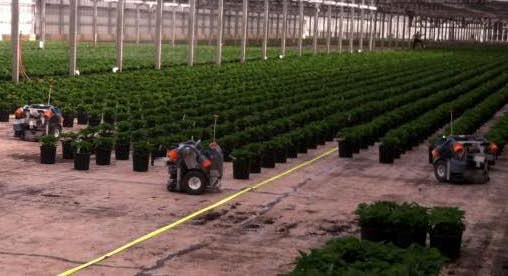 Metrolina Greenhouses used robots from Harvest Automation to help space plants and help improve worker safety and overall efficiency for the company. Courtesy: Harvest Automation