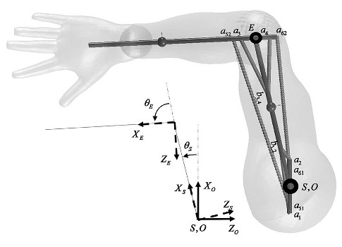 Researchers at the University of Waterloo developed a musculoskeletal model of the human arm that provides the human action for an upper limb rehabilitation robot using MapleSim software from Maplesoft. Courtesy: Maplesoft