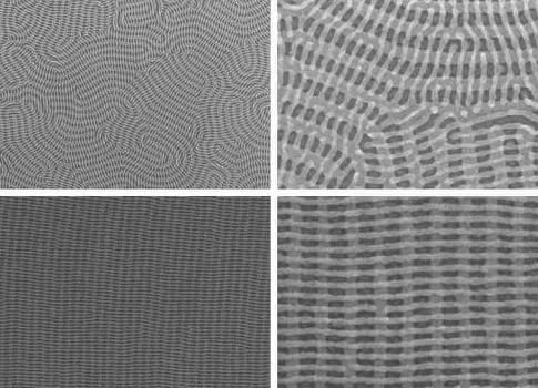 On the top row are two images of a nanomesh bilayer of PDMS cylinders in which the top layer is perpendicular to the complex orientation of the bottom layer. The bottom images show well-ordered nanomesh patterns of PDMS cylinders. The images on the right