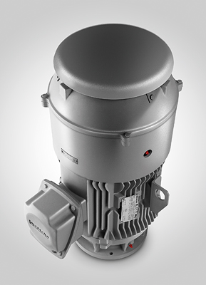 Siemens' HP100 and LP100 (pictured) Simotics vertical solid shaft (VSS) NEMA premium motors are designed for harsh environments in industries such as oil and gas, petrochemical, pulp and paper, water and wastewater treatment. Courtesy: Siemens