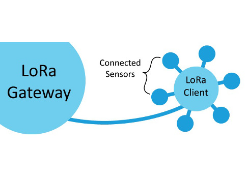 Figure 1: The LoRa network diagram shows how sensors connect to a LoRa client and connect via a LoRa gateway. Image courtesy: Laird