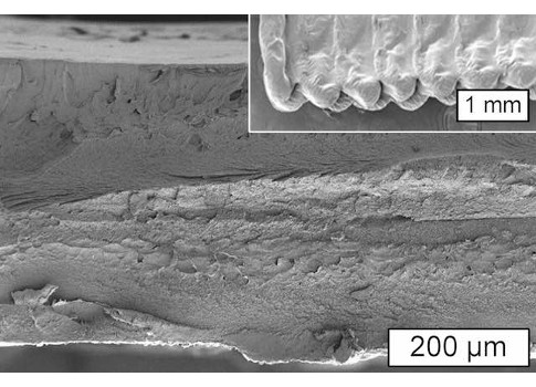 This image from a scanning electron microscope shows a cross section of an object printed using cellulose. The inset shows the surface of the object. Courtesy: Massachusetts Institute of Technology