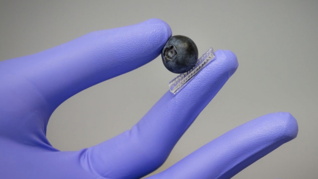 Stanford University researchers have developed technology that makes it possible for robots to touch a delicate berry or handle a pingpong ball without squashing them. Courtesy: Bao Lab