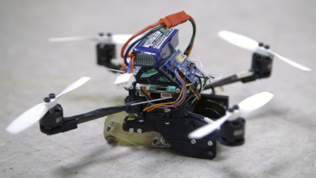 The tiny robots could potentially move pieces of debris or position a camera to evaluate a treacherous area. Courtesy: Kurt Hickman, Stanford University