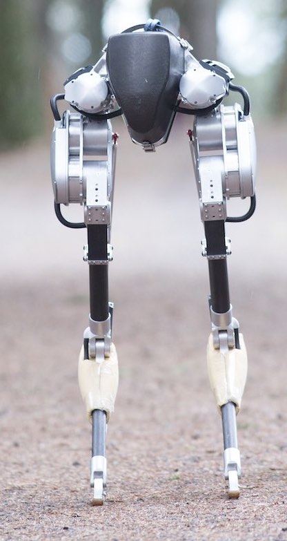 Bipedal robot designed to walk on unpredictable, uneven terrain reshapes researchers’ expectations for dynamic robotic locomotion in the real world. Courtesy: Oregon State University/RIA