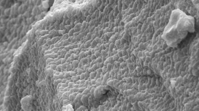 An electron microscope image of the flexible dielectric alloy created at Rice University shows a layered structure of sulfur and selenium and a lack of voids. The material shows promise as a separator for next-generation flexible electronics. Courtesy: Ajayan Research Group/Rice University