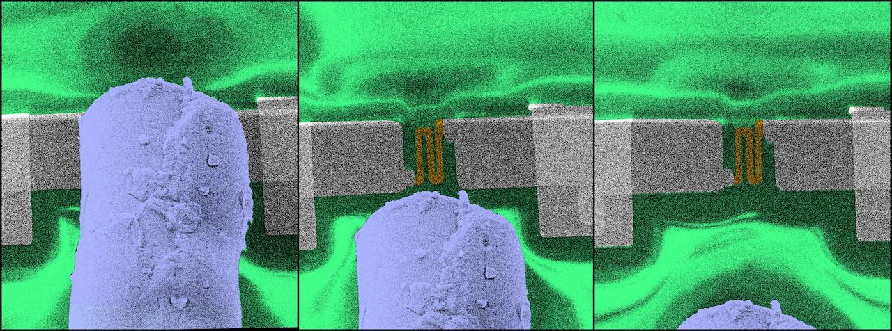 Colorized scanning electron microscope image shows the position of a resistive thermal device RTD (nanoscale thermometer) as the deposition substrate moves relative to the micro-size nozzle capillary for gas jet injection for mapping local temperature. The RTD thermal response was used for validation of the model prediction of the adatom non-equilibrium thermal state. Courtesy: Matthew R. Henry, Georgia Tech University