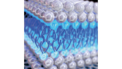 Large anions with long tails (blue) in ionic liquids can make them self-assemble into sandwich-like bilayer structures on electrode surfaces. Ionic liquids with such structures have much improved energy storage capabilities. Courtesy: Xianwen Mao, MIT