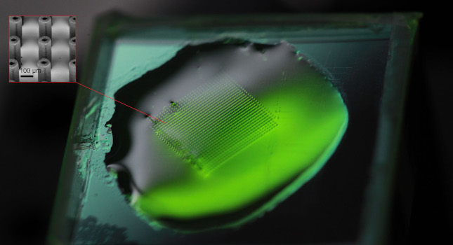 Image shows a printed micropillar forest submerged in the photopolymer resist prior to development. The forest contains 900 micropillars over a 7 mm × 7 mm area and was printed in less than 90 minutes as compared to more than a day of printing with serial techniques. Courtesy: Vu Nguyen and Sourabh Saha, Georgia Tech University