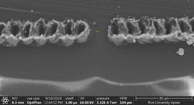 A scanning electron microscope image shows two traces of laser-induced graphene on a polyimide film. A laser mounted to the microscope was used to burn the patterns into the film. The technique shows promise for the development of flexible electronics. Courtesy: Tour Group/Rice University