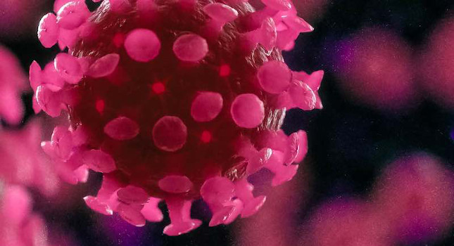Rendering of COVID-19. Courtesy: Steve Alvey, University of Michigan
