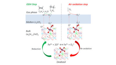 Reaction pathways for oxidative dehydrogenation of ethane facilitated by the molten carbonate shell modified perovskite redox catalyst. Courtesy: North Carolina State University