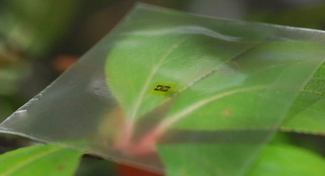 ECE Professor Zhenqiang “Jack” Ma and his collaborators have constructed a functional microwave amplifier circuit on a substrate of cellulose nanofibril paper, a wood product. Courtesy: Huilong Zhang, University of Wisconsin-Madison