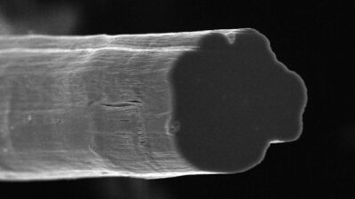 The cross-section of a fiber produced at Rice University contains tens of millions of carbon nanotubes. The lab continually improves its method to make fibers, which tests show are now stronger than Kevlar. Courtesy: Pasquali Research Group/Rice University