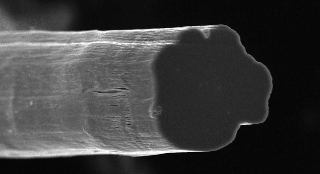 The cross-section of a fiber produced at Rice University contains tens of millions of carbon nanotubes. The lab continually improves its method to make fibers, which tests show are now stronger than Kevlar. Courtesy: Pasquali Research Group/Rice University
