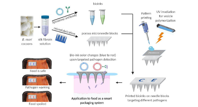 Courtesy: Massachusetts Institute of Technology