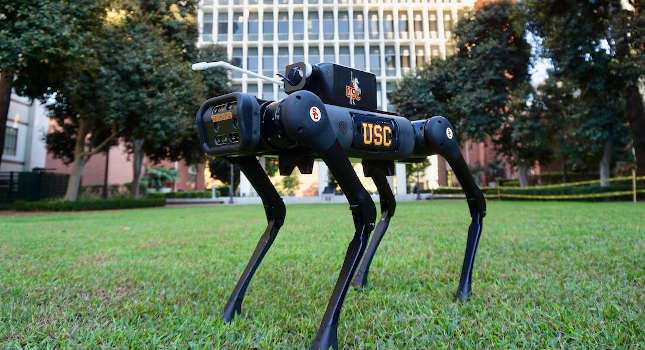 LASER-D, developed by USC Viterbi researchers, is an animal-like robot that can crawl, crouch and disinfect surfaces and objects to fight COVID-19. Courtesy: Quan Nguyen, USC Viterbi