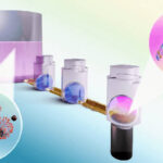 OIL-TAS technology enables integrated RNA extraction and detection of SARS-CoV-2 on a single device. The process begins with lysing and capturing viral RNA onto magnetic beads (large pink well on left), followed by magnetically transporting the beads through two washing liquids (blue droplets) and into a final detection solution (small pink droplet on right), where a reaction amplifies the viral RNA for detection. Courtesy: Terry Juang, University of Wisconsin-Madison