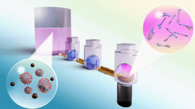 OIL-TAS technology enables integrated RNA extraction and detection of SARS-CoV-2 on a single device. The process begins with lysing and capturing viral RNA onto magnetic beads (large pink well on left), followed by magnetically transporting the beads through two washing liquids (blue droplets) and into a final detection solution (small pink droplet on right), where a reaction amplifies the viral RNA for detection. Courtesy: Terry Juang, University of Wisconsin-Madison