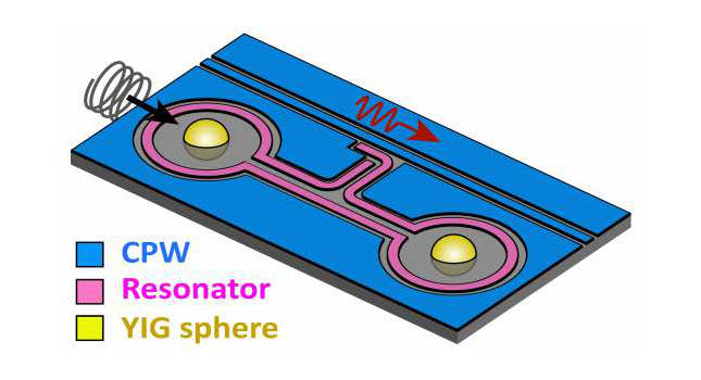 Schematic of the remote magnon-magnon coupling circuit. Two single-crystal YIG spheres are embedded to the NbN coplanar superconducting resonator circuit, where microwave photon mediates coherent magnon-magnon interaction. Courtesy: Yi Li, Argonne National Laboratory