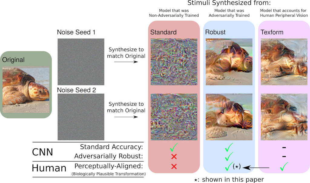 Researchers started with a set of images, and used three different computer vision models to synthesize representations of those images from noise: a “normal” machine-learning model, one that had been trained to be adversarially robust, and one that had been specifically designed to account for some aspects of human peripheral processing, called Textorms. Courtesy: Massachusetts Institute of Technology