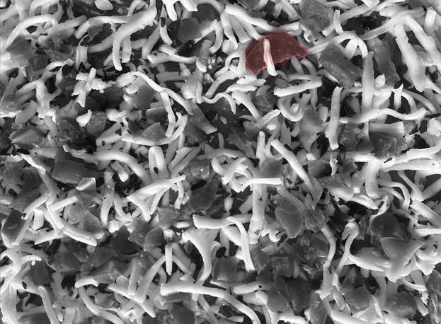 Figure 1: Machine vision detects pepperoni in a veggie pizza. Courtesy: Grantek