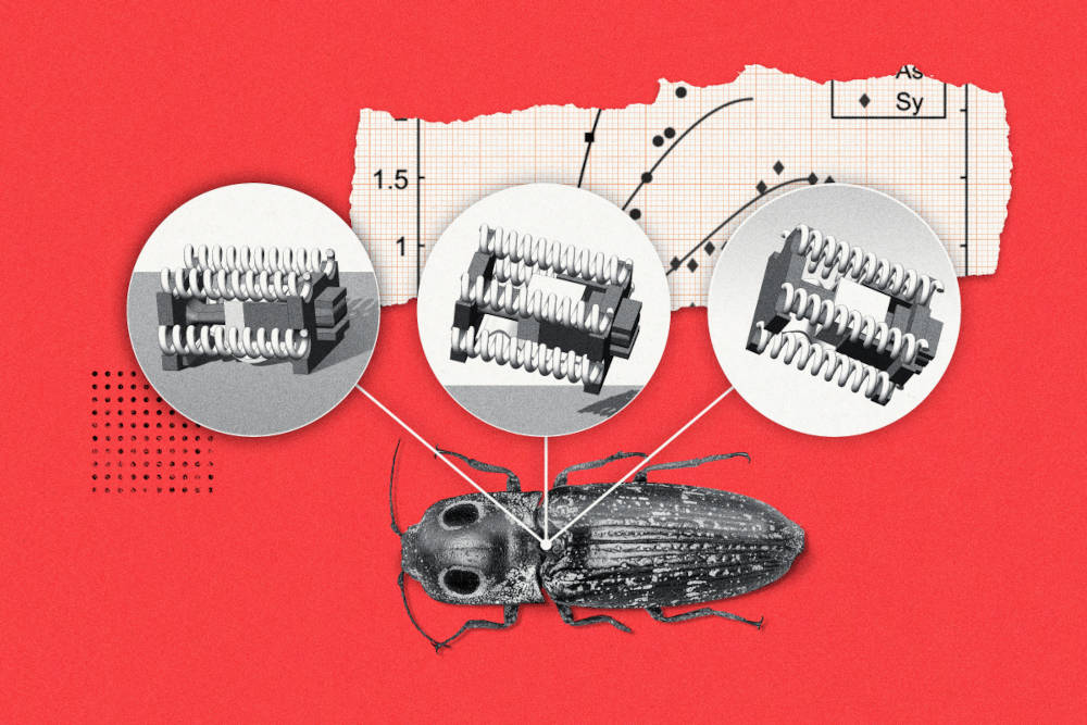 Mechanical science and engineering professor Sameh Tawfick led a new study introducing click beetle-sized robots small enough to fit into tight spaces, powerful enough to maneuver over obstacles and fast enough to match an insect’s rapid escape time. Courtesy: Michael Vincent, University of Illinois