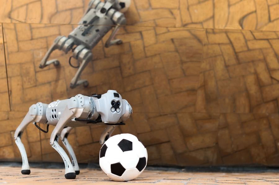 Researchers created DribbleBot, a system for in-the-wild dribbling on diverse natural terrains including sand, gravel, mud, and snow using onboard sensing and computing. In addition to these football feats, such robots may someday aid humans in search-and-rescue missions. Courtesy: Mike Grimmett, MIT CSAIL