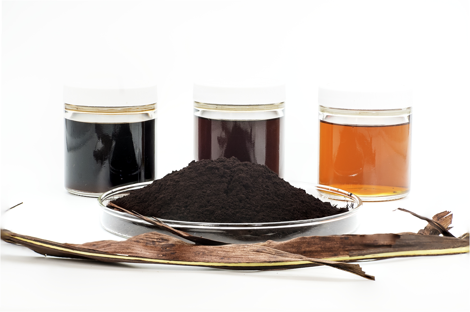 Figure 1: Raw and dried red sorghum extracts.