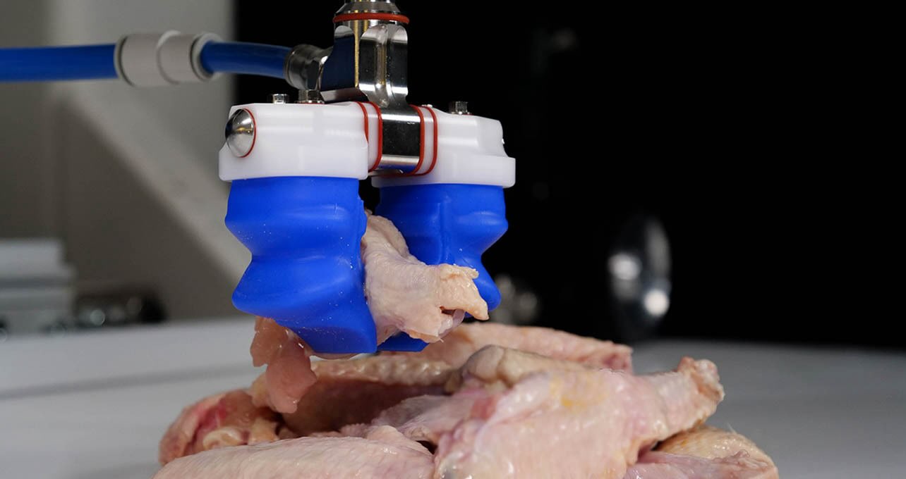 Soft Robotics, for instance, worked with a food producer to create an AI solution that enables a robot to recognize and pick up single, wet and squishy chicken wings out of a pile of wings. 