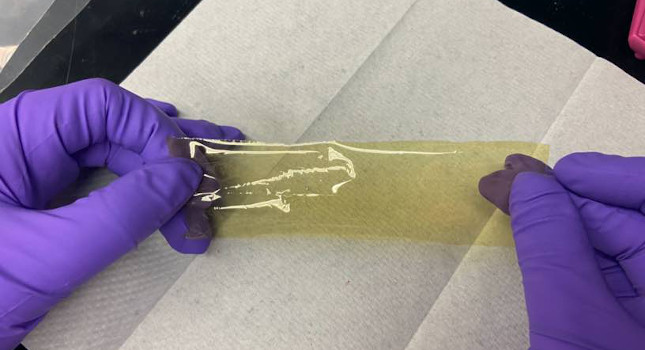 Designed by big data and made with synthetic chemistry, this thin film and others like it could help reduce pollution and remove greenhouse gases from the air. Courtesy: Columbia University