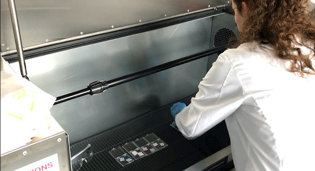 Researcher Emmeline Blanchard from the Wallace H. Coulter Department of Biomedical Engineering at Georgia Tech and Emory University places items into an ozone disinfection chamber for testing. Courtesy: Georgia Tech University