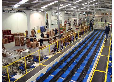 Mission Produce, an avocado grower, expects to use hard energy use data to drive funding for future energy saving projects. Courtesy: Powerit Solutions