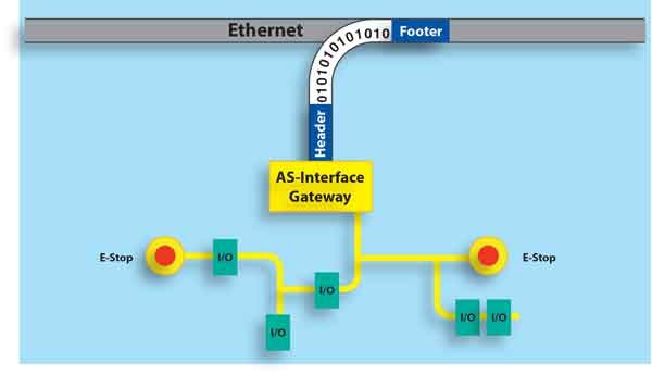 In contrast, a solution where sensor data is first consolidated—in this case via an AS-Interface network—hundreds of I/O bits are combined into one Ethernet frame. This is not only a more efficient way of transmitting data to the PLC, it has many addition