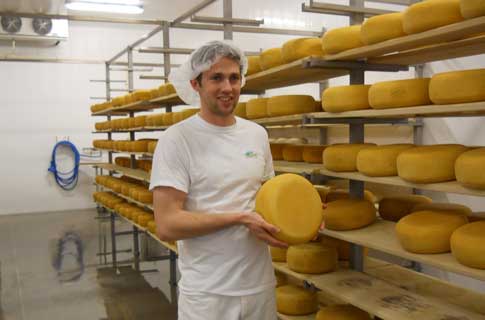 Shep Ysselstein, owner and “grand fromage” of Gunn’s Hill Cheese in Woodstock, Ontario, Canada, shows off his cheese. Variable frequency drives (VFDs) are used to fluid pumps, in the ventilation system, cooling compressors, and to help lift and transport Gunn’s Hill Artisan Cheese pumps thousands of gallons of milk in and out of vats, stirs in ingredients, maintains precise temperatures using Danfoss variable frequency drives. Courtesy: Danfoss