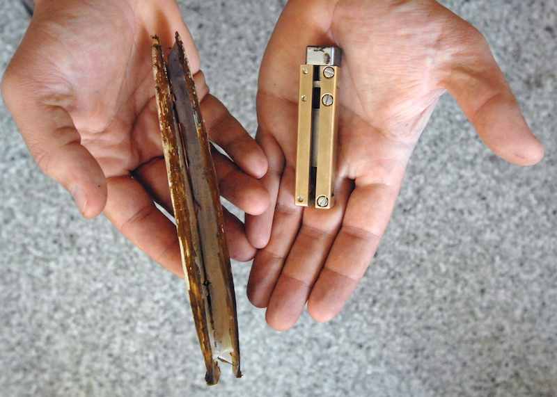 The image shows a razor clam and the RoboClam that is built to mimic the functions of a razor clam. Courtesy: Donna Coveney, MIT