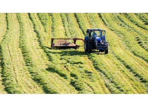 The general trend worldwide in agriculture is toward precision agriculture by advanced technologies including robotics to meet global productivity demands. As agriculture moves closer to full automation, it remains unclear what role robots will play in th