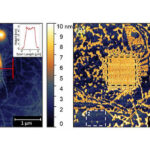 A new way to make semiconductors:Topology (A) and phase (B) imagery of the functionalized zone after zinc oxide atomic layer deposition. Courtesy: University of Missouri